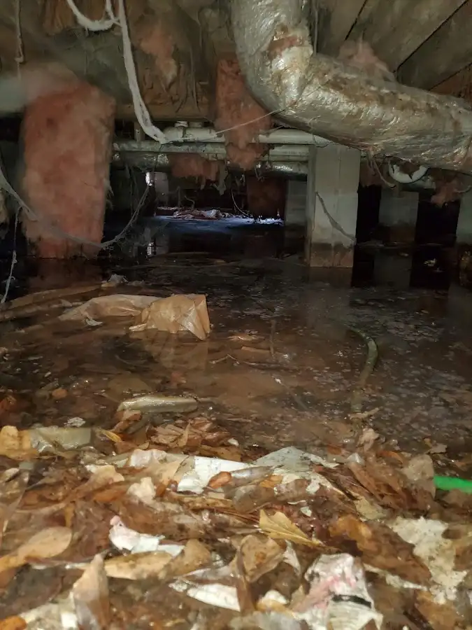 Crawl space flood assessment for Commercial Water Damage Restoration in View Park-Windsor Hills